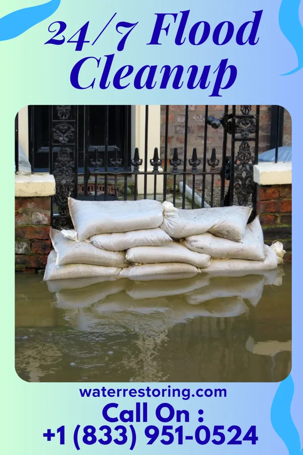 24/7 Flood Cleanup in Woodridge, IL