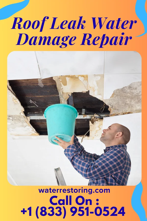 Roof Leak Water Damage Repair in Woodridge, IL